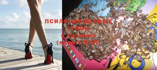 метадон Новодвинск