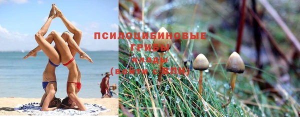 Альфа ПВП Новокубанск