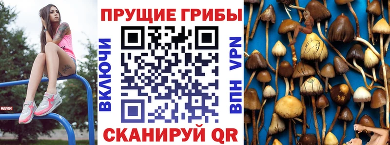 Псилоцибиновые грибы Magic Shrooms  даркнет сайт  мега зеркало  Янаул 